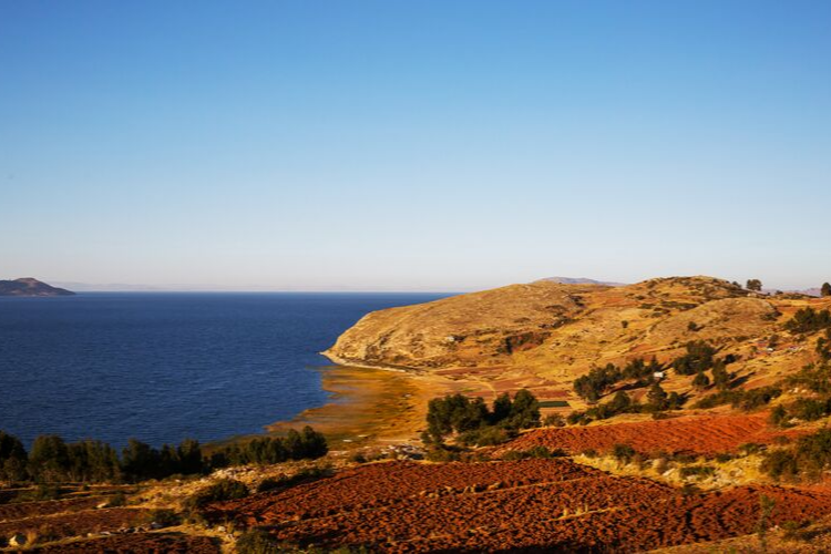 Why choose Bolivian Organic Royal Quinoa over other types of Quinoa?-Andina Organic