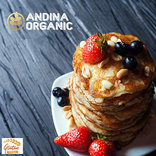 Quinoa Pancake Mix-Andina Organic