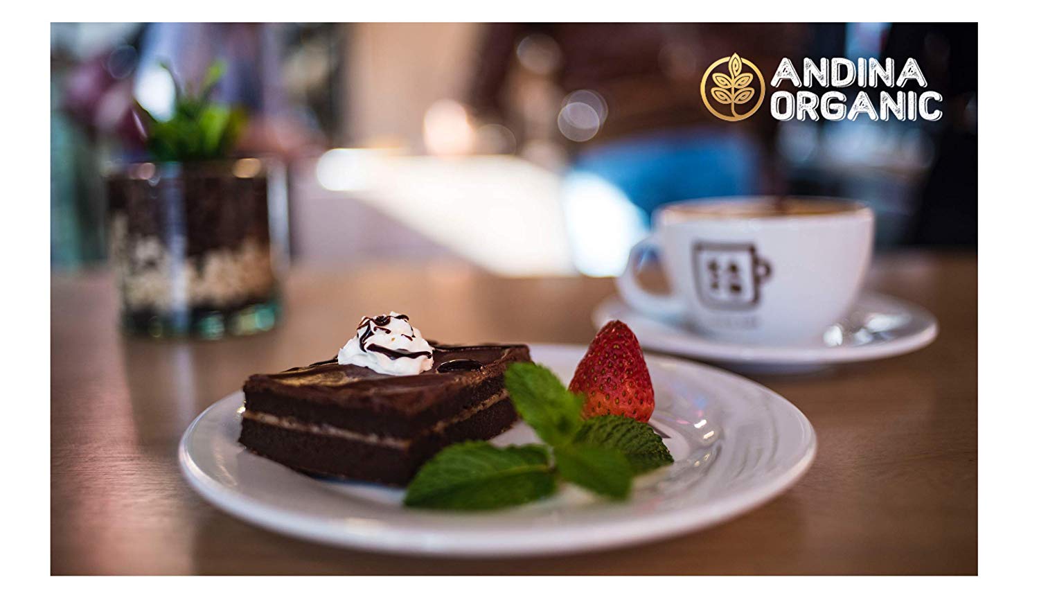 Gluten-Free Brownie Mix-Andina Organic